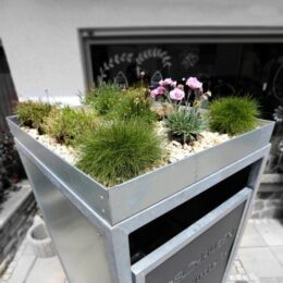 Pflanzdach für Mülltonnenbox